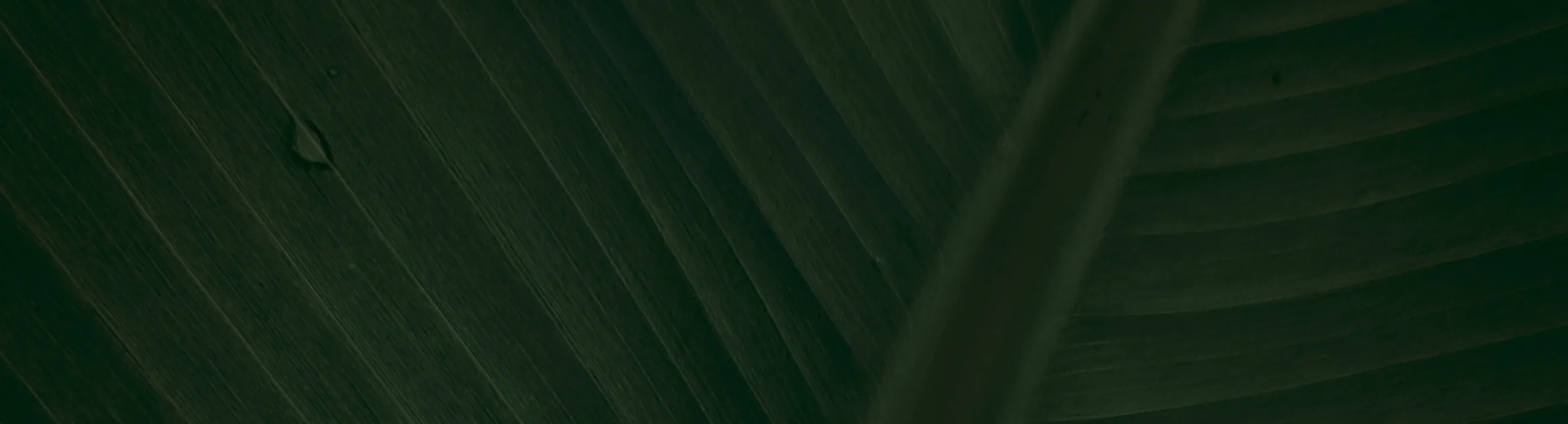 Exportación contenedor marítimo 24 palet