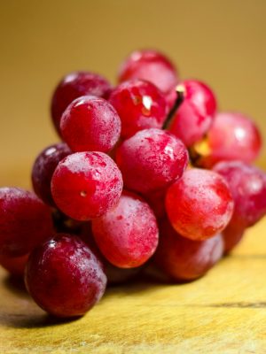 Exportación contenedor marítimo 24 palet