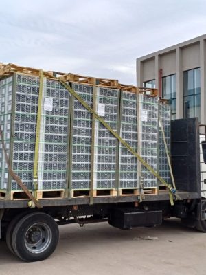 Exportación contenedor marítimo 24 palett