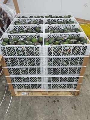 8df1462f-3869-40ea-9926-8bd8d59938cb Nacional VIN 450k y/o palet 1000k