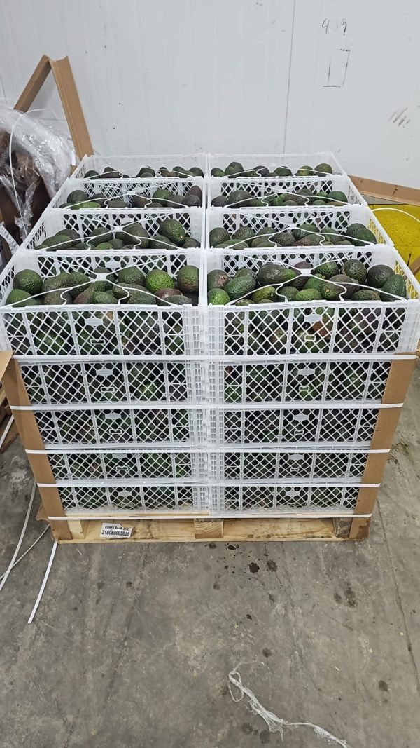 Nacional VIN 450k y/o palet 1000k