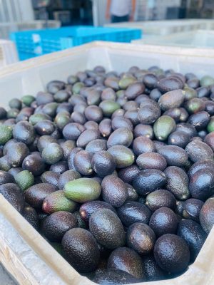 Local caja rejilla de 10k en adelante