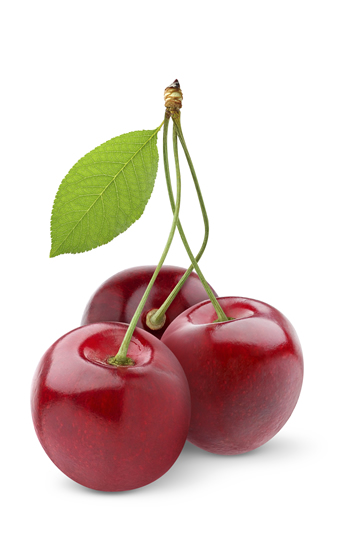 Exportación contenedor marítimo 24 palet