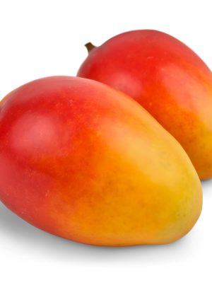 Exportación contenedor marítimo 24 palet